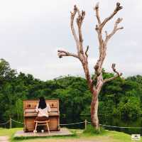 Serene House Cafe