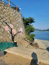 물이 진짜 맑은 몽돌 망치해수욕장🏖