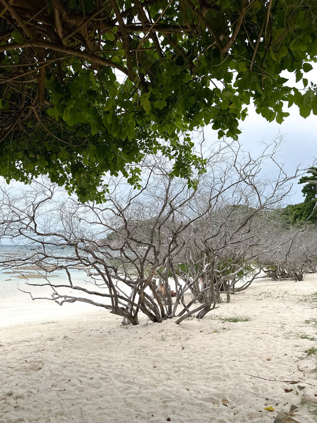 HAAD TIEN BEACH | Kohtao