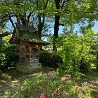 伽耶院：古老寺院庭園，心靈淨化