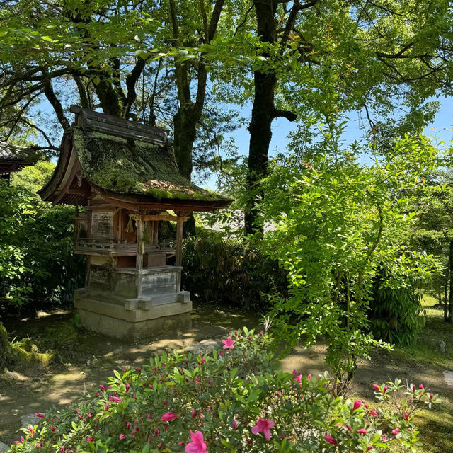 伽耶院：古老寺院庭園，心靈淨化