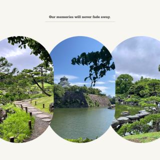 松前城：歷史文化景點，感受日本園藝