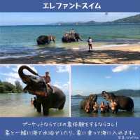 【プーケット】今行きたい！激あつスポット