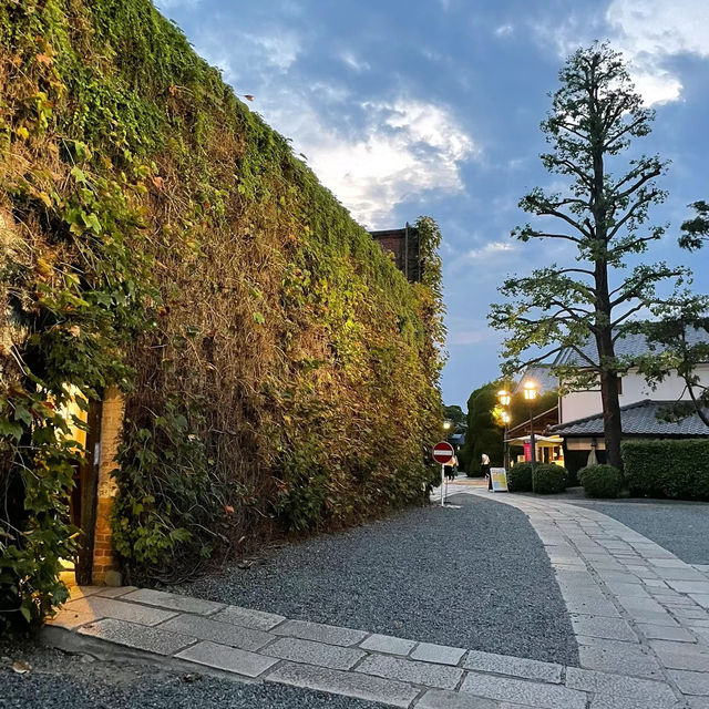柳川⛲️水鏡畫捲