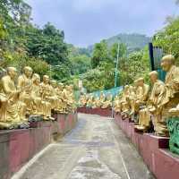 Explore the Unique Ten Thousand Buddhas Monastery