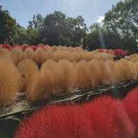 大阪休閒的好去處...花博紀念公園鶴見綠地
