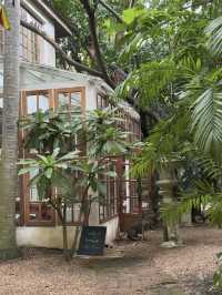Little tree garden cafe 🌳🧺🪑🚪🪴