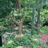 深圳中心公園：現代藝術、環保理念，多元化活動空間