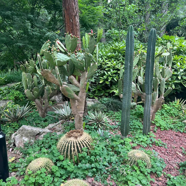 深圳中心公園：現代藝術、環保理念，多元化活動空間