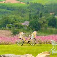 คาเฟ่ลับเขาใหญ่ ตั้งอยู่บนเนินเขา บรรยากาศดี