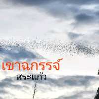 ชมค้างคาวนับล้านบินออกจากถ้ำ