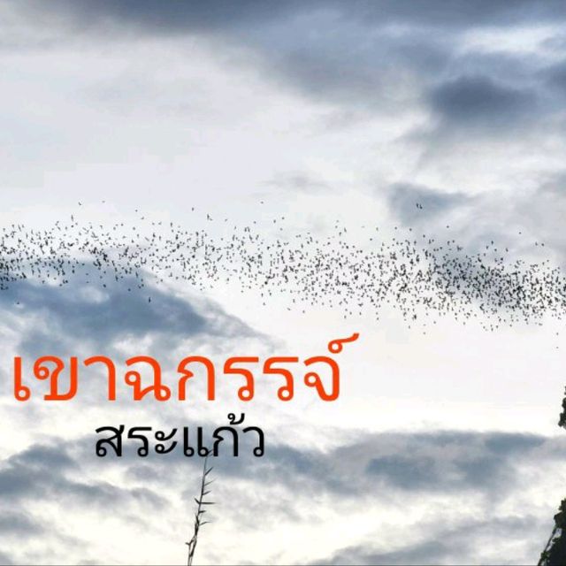 ชมค้างคาวนับล้านบินออกจากถ้ำ