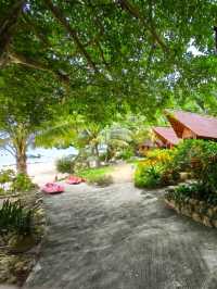 Escape to Paradise at The Cove in Phi Phi 🌴