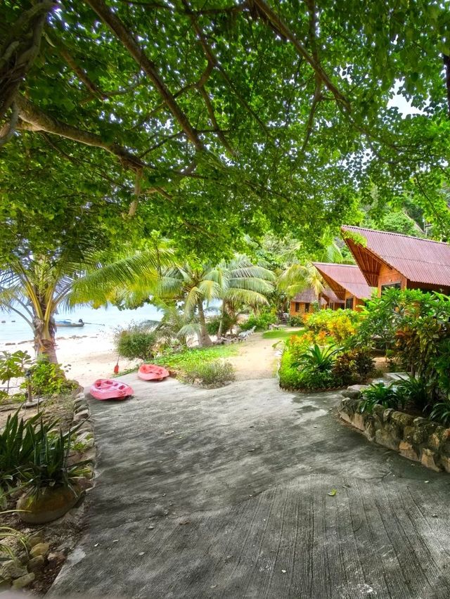 Escape to Paradise at The Cove in Phi Phi 🌴