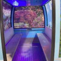【岩手】蜷川実花限定ゴンドラで山頂へ✨