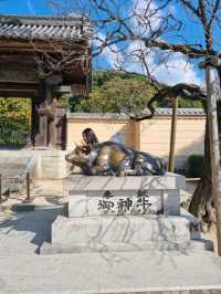 후쿠오카 근교 여행 필수코스! 다자이후 천만궁⛩️