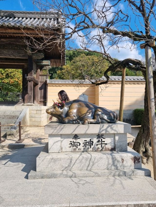 후쿠오카 근교 여행 필수코스! 다자이후 천만궁⛩️