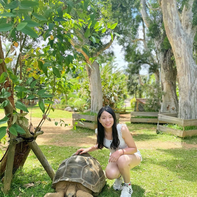  沖繩必去💗東南植物樂園