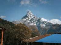 Day 5 Mardi Himal  (Low Camp - Pokhara)