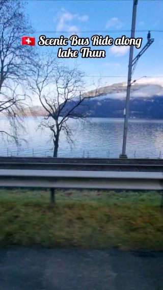 🇨🇭 Scenic Bus Ride along lake Thun