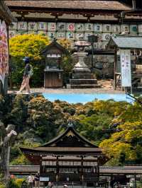 Matsuo-taisha Shrine is a Hidden Gem in Kyoto, Japan ⛩️🇯🇵