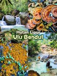 Hutan Lipur Ulu Bendul, a nature hidden gem in Kuala Pilah 🍃