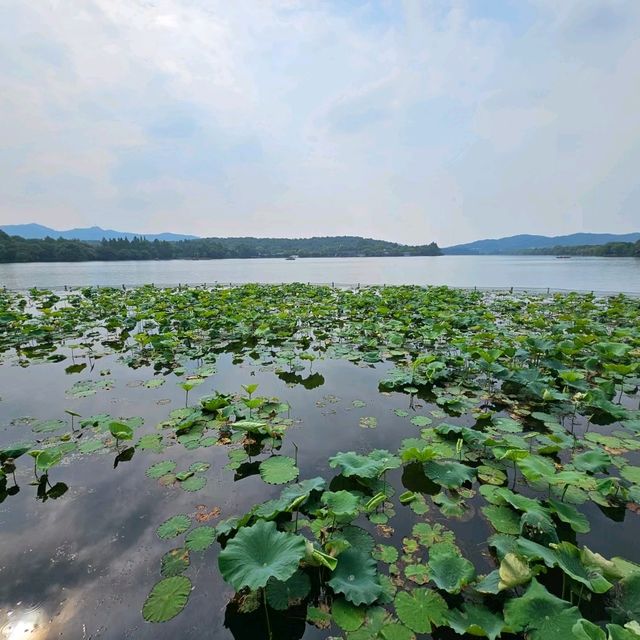 Iconic Hangzhou