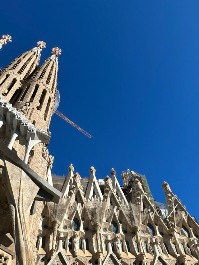 スペイン旅行【バルセロナ🇪🇸圧巻のサグラダファミリア 】