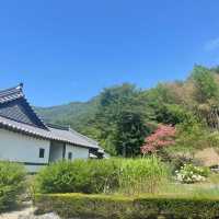 「安山星光村～懷舊韓屋村」