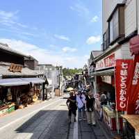Narita Japan attraction 