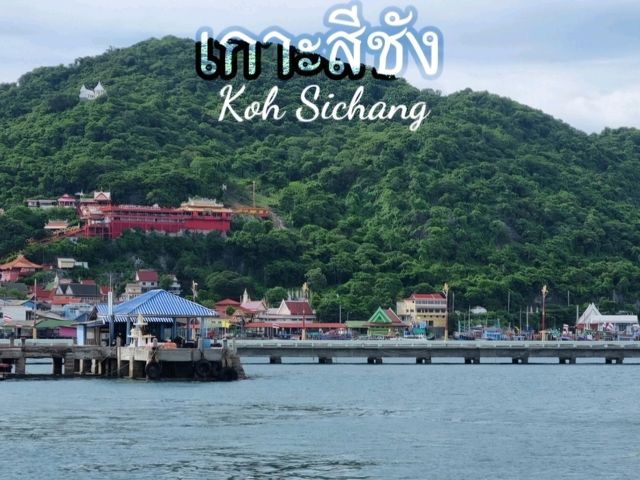 เกาะสีชัง ชลบุรี