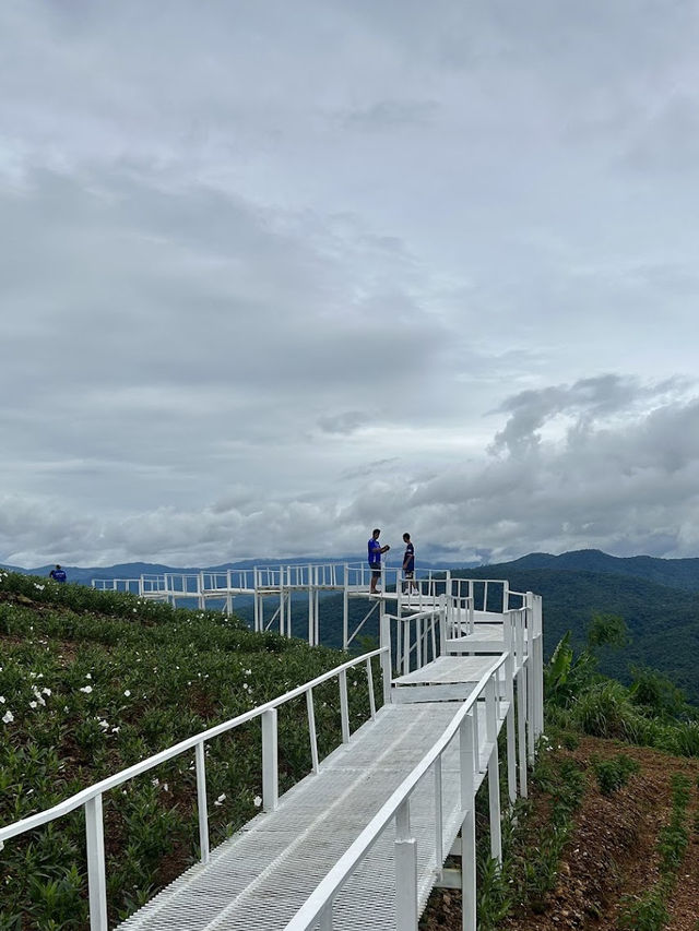📍 ยิ่งยงสวนดอกไม้ 