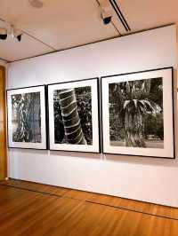 National Gallery Singapore: A Cultural Beacon of Artistic Excellence