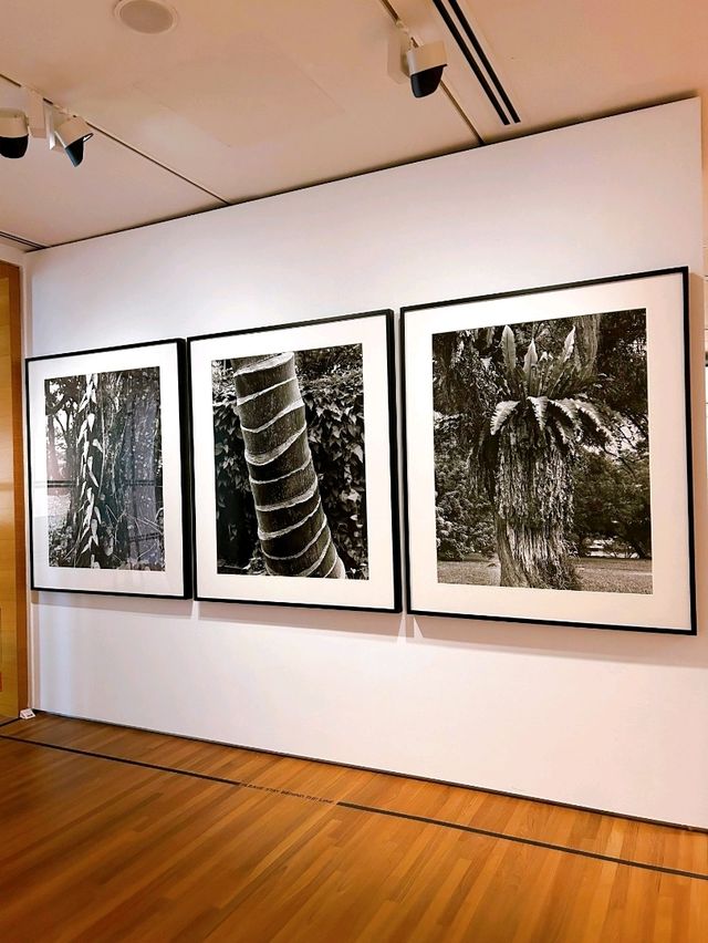 National Gallery Singapore: A Cultural Beacon of Artistic Excellence