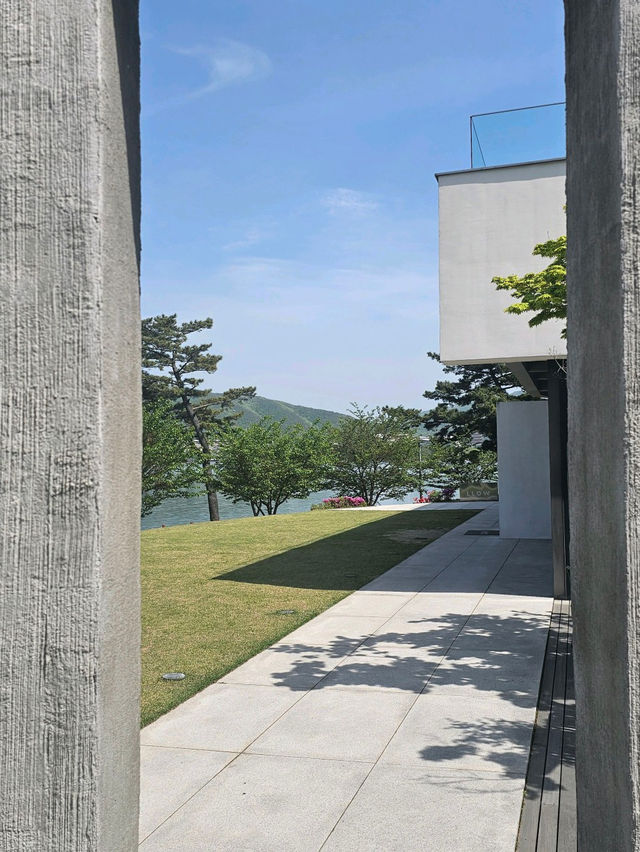 ෆ˃̵͈̑ᴗ˂̵͈̑ෆ 엘로우 카페 경주여행 최애 뷰맛집