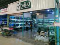 ตลาดกลางปลาสวยงาม fish village บ้านโป่ง