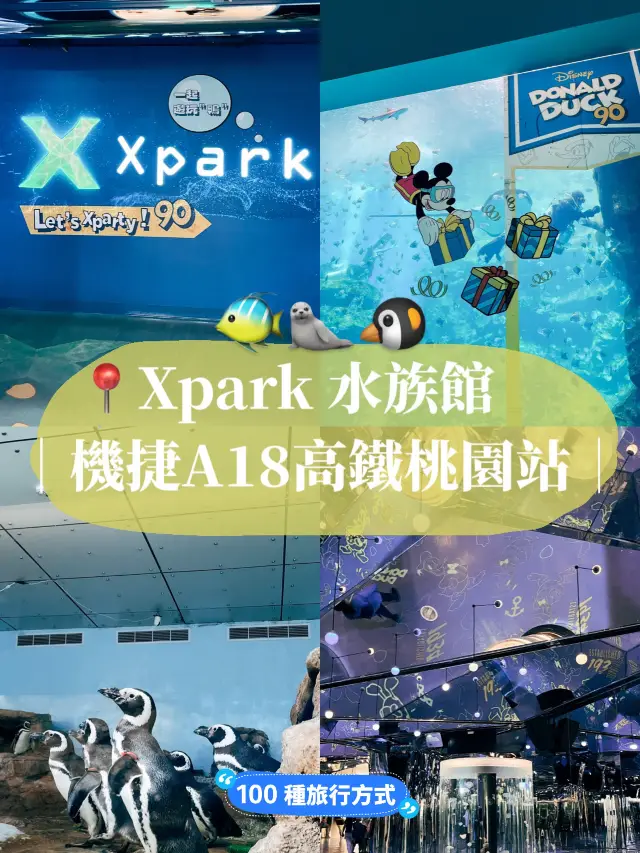 桃園青埔Xpark 水族館🐠台灣首座新都會型水生公園