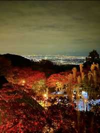 〜神奈川県〜夜景と紅葉が同時に見られる秋おすすめナイトスポット！