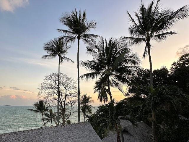 📍🌊 Coral Cliff Beach Resort