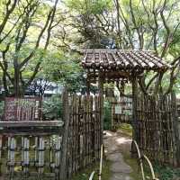 横浜観光おすすめスポット✨横浜公園『彼我公園』