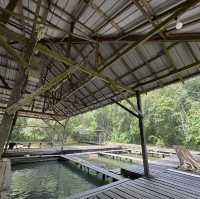 One of the iconic hot spring in kuching - Kampung Panchor Hot Spring