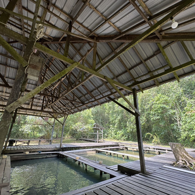 One of the iconic hot spring in kuching - Kampung Panchor Hot Spring