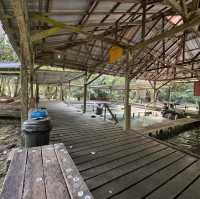 One of the iconic hot spring in kuching - Kampung Panchor Hot Spring