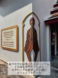 【📍タイ🇹🇭】芸術と健康を学ぶ👩‍🎓人気観光地、ワット・ポーの意外な楽しみ方を攻略💫涅槃仏だけじゃない魅力