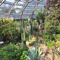 ～牛津大學哈考特植物園～增長植物知識好去處～