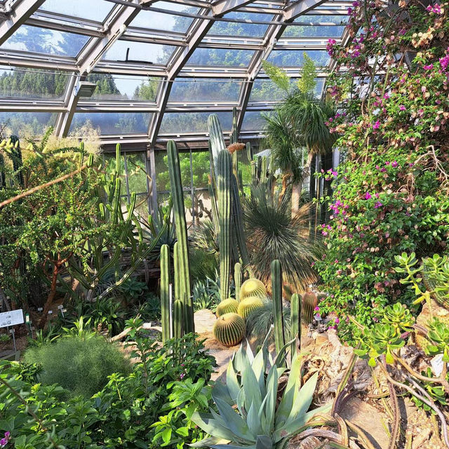 ～牛津大學哈考特植物園～增長植物知識好去處～