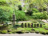 竹寺　鎌倉報国寺