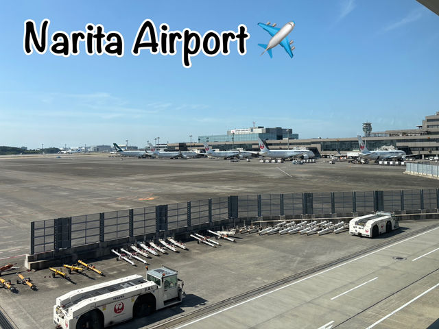 Landing at Narita Airport 🛫