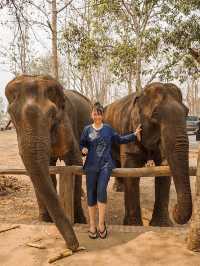 📍Manifa Elephant Camp & Resort