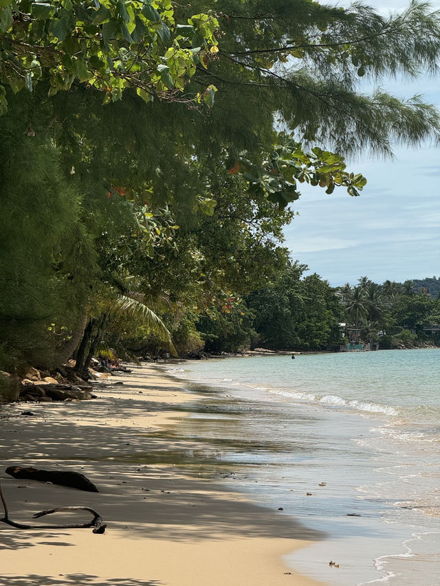 เดินเล่นริมหาทับแขก 🏝️ กระบี่